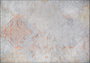 Conceptum Alfombra Fusion Chenille Beige AL 105 150 x 230 cm Poliester